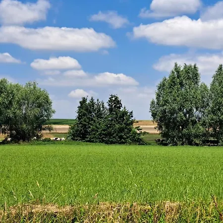 Au Temps Present - De Charme - A Quelques Minutes De Pairi Daiza, D'ath - A Deux Pas Du Chateau Ou Du Ravel - Entre Tournai Et Mons Beloeil